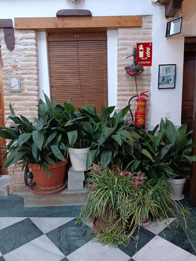 Apartamento Patio De Los Leones Гранада Екстериор снимка